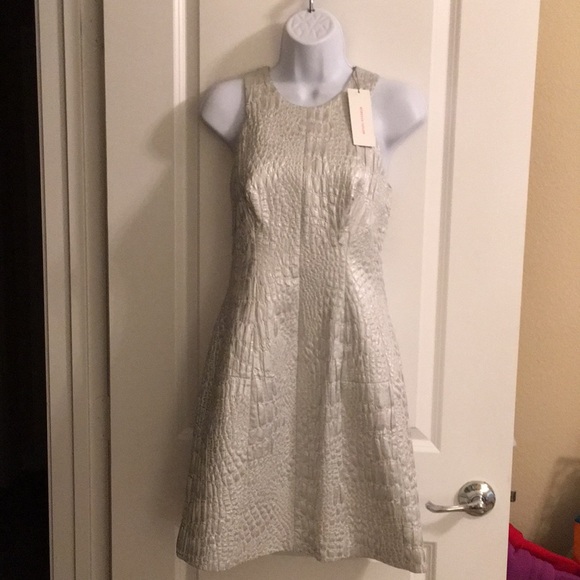 rebecca taylor silver dress